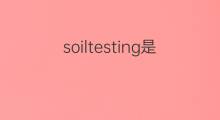 soiltesting是什么意思 soiltesting的中文翻译、读音、例句