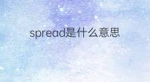 spread是什么意思 spread的中文翻译、读音、例句