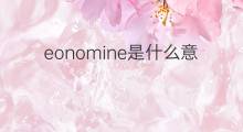 eonomine是什么意思 eonomine的中文翻译、读音、例句