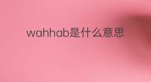 wahhab是什么意思 wahhab的中文翻译、读音、例句