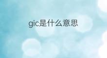 gic是什么意思 gic的中文翻译、读音、例句