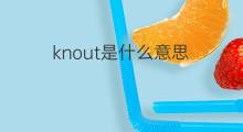 knout是什么意思 knout的中文翻译、读音、例句
