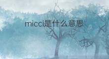 micci是什么意思 micci的中文翻译、读音、例句