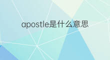 apostle是什么意思 apostle的中文翻译、读音、例句