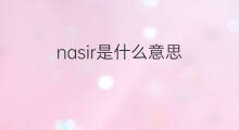 nasir是什么意思 nasir的中文翻译、读音、例句