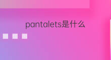 pantalets是什么意思 pantalets的中文翻译、读音、例句