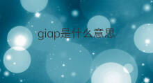 giap是什么意思 giap的中文翻译、读音、例句