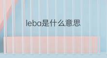 leba是什么意思 英文名leba的翻译、发音、来源