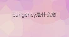 pungency是什么意思 pungency的中文翻译、读音、例句