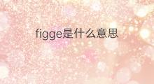 figge是什么意思 英文名figge的翻译、发音、来源