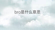 bro是什么意思 bro的中文翻译、读音、例句