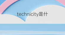 technicity是什么意思 technicity的中文翻译、读音、例句
