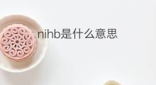 nihb是什么意思 nihb的中文翻译、读音、例句