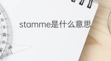 stamme是什么意思 stamme的中文翻译、读音、例句