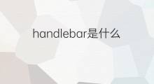 handlebar是什么意思 handlebar的中文翻译、读音、例句