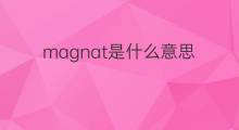 magnat是什么意思 magnat的中文翻译、读音、例句