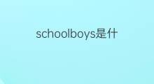 schoolboys是什么意思 schoolboys的中文翻译、读音、例句