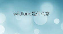 wildland是什么意思 wildland的中文翻译、读音、例句