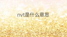 nvt是什么意思 nvt的中文翻译、读音、例句