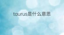 taurus是什么意思 taurus的中文翻译、读音、例句