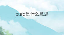 pura是什么意思 pura的中文翻译、读音、例句