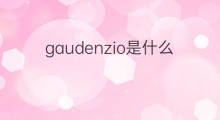 gaudenzio是什么意思 gaudenzio的中文翻译、读音、例句
