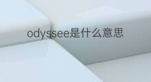 odyssee是什么意思 odyssee的中文翻译、读音、例句