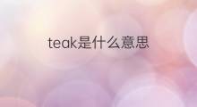 teak是什么意思 teak的中文翻译、读音、例句