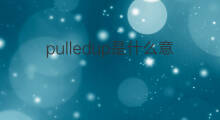 pulledup是什么意思 pulledup的中文翻译、读音、例句