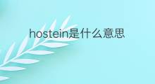 hostein是什么意思 hostein的中文翻译、读音、例句