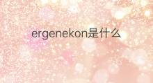 ergenekon是什么意思 ergenekon的中文翻译、读音、例句
