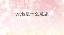 wyls是什么意思 wyls的中文翻译、读音、例句
