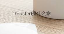 thrusted是什么意思 thrusted的中文翻译、读音、例句