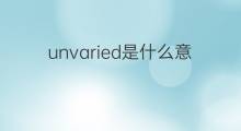unvaried是什么意思 unvaried的中文翻译、读音、例句