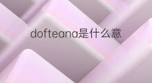 dofteana是什么意思 dofteana的中文翻译、读音、例句