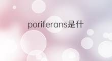poriferans是什么意思 poriferans的中文翻译、读音、例句