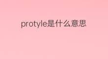protyle是什么意思 protyle的中文翻译、读音、例句