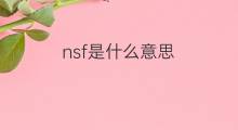 nsf是什么意思 nsf的中文翻译、读音、例句