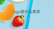 vgo是什么意思 vgo的中文翻译、读音、例句