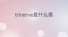 trinerve是什么意思 trinerve的中文翻译、读音、例句