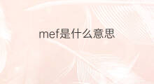 mef是什么意思 mef的中文翻译、读音、例句