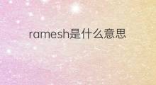 ramesh是什么意思 ramesh的中文翻译、读音、例句