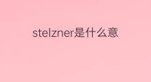 stelzner是什么意思 stelzner的中文翻译、读音、例句