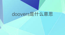 doovers是什么意思 doovers的中文翻译、读音、例句