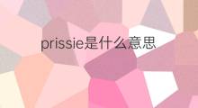 prissie是什么意思 prissie的中文翻译、读音、例句