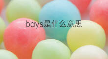 bays是什么意思 bays的中文翻译、读音、例句