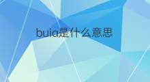 buia是什么意思 buia的中文翻译、读音、例句