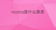 nostra是什么意思 nostra的中文翻译、读音、例句