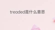 treaded是什么意思 treaded的中文翻译、读音、例句