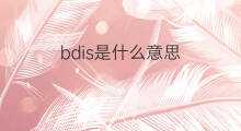 bdis是什么意思 bdis的翻译、读音、例句、中文解释